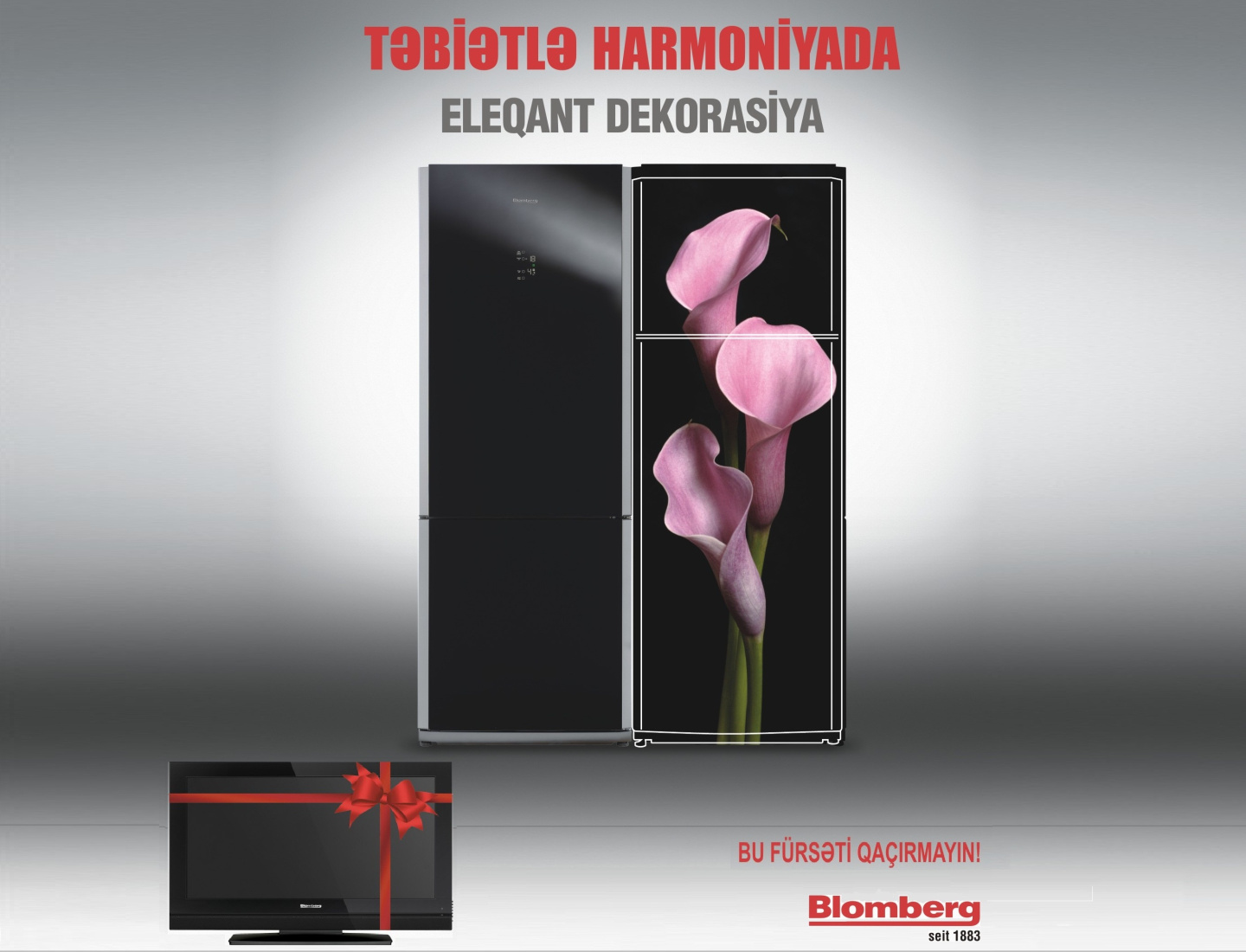 "ELEQANT DEKORASIYA"