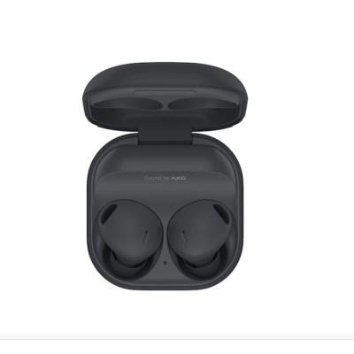 Samsung Galaxy Buds 2 Pro Graphite