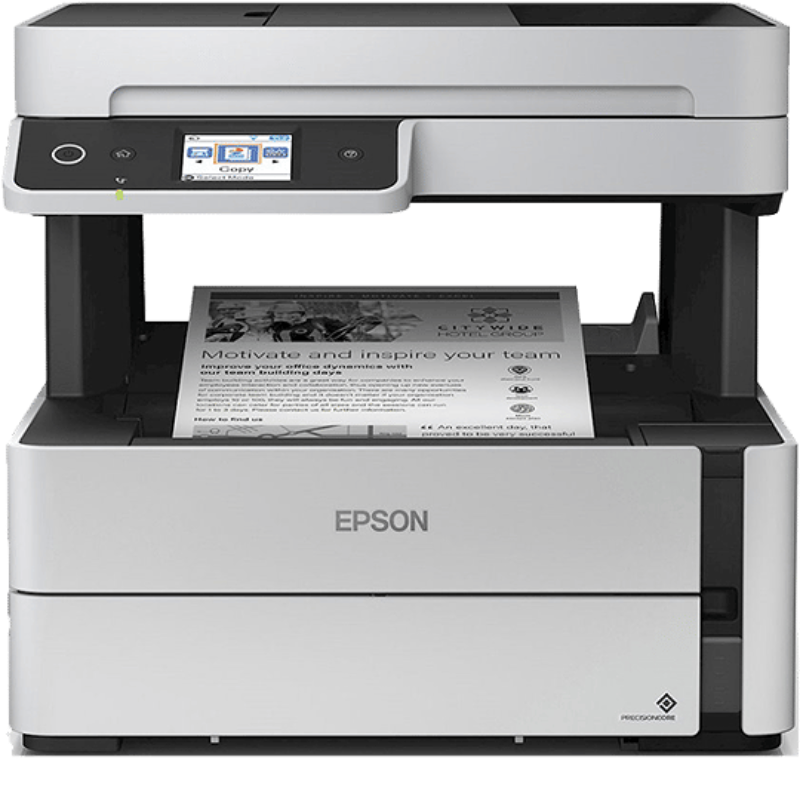 Epson M3170