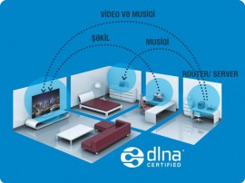 DLNA 