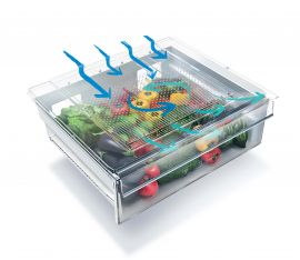 Everfresh+ bölməsi