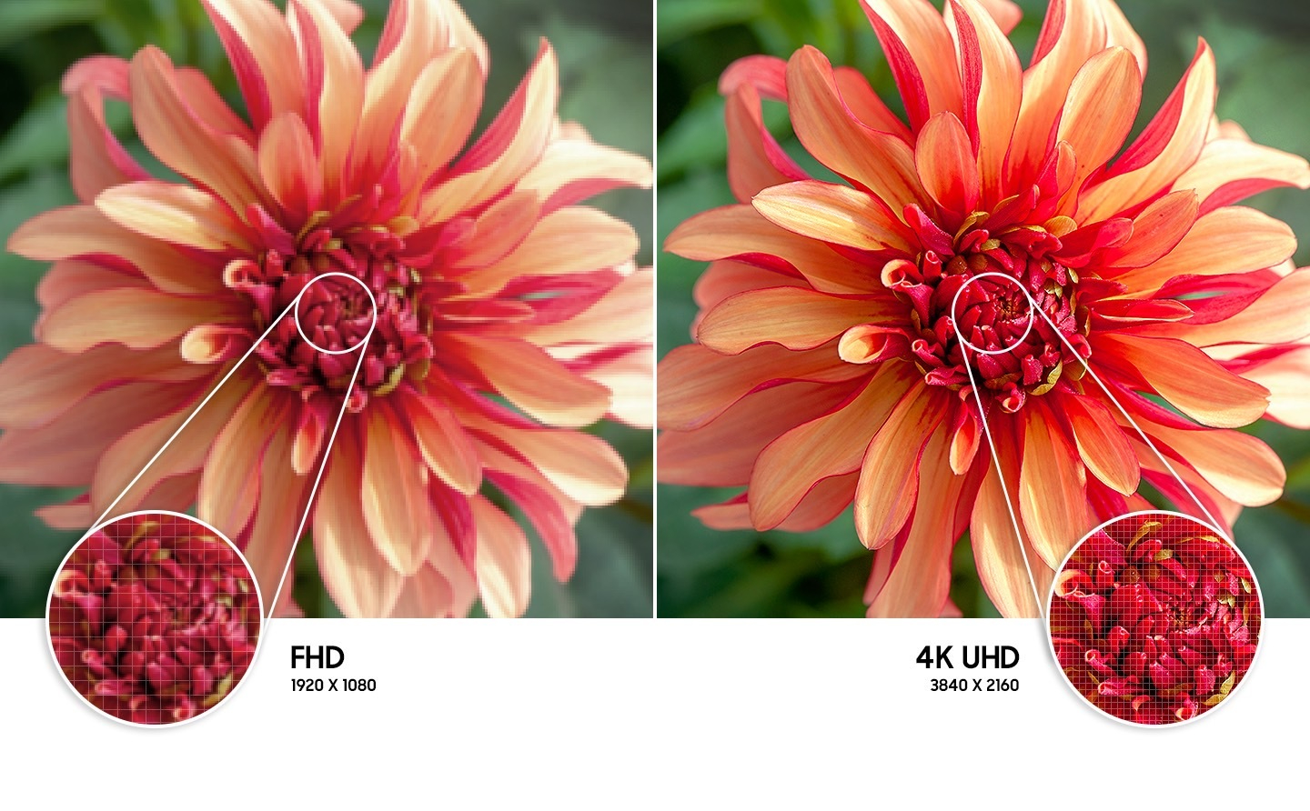 4K UHD ekran icazəsinin reallığını hiss edin